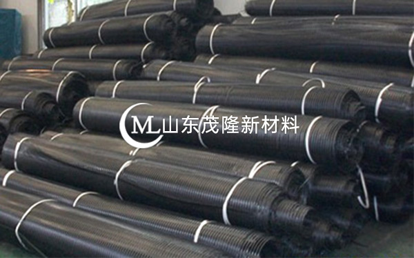 单向拉伸塑料土工格栅产品演示图2