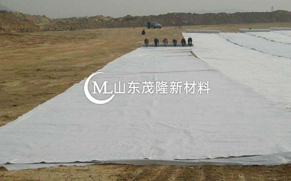 《天府机场TJ6标》土工格栅、土工布、排水板施工