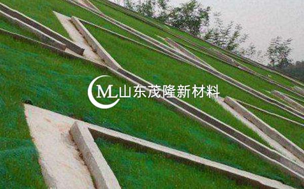 《都匀至安顺公路项目》土工格栅、三维植被网施工