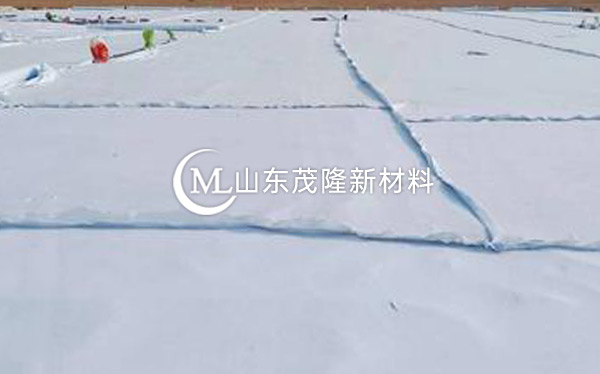 《台辉高速》土工布、土工格栅施工