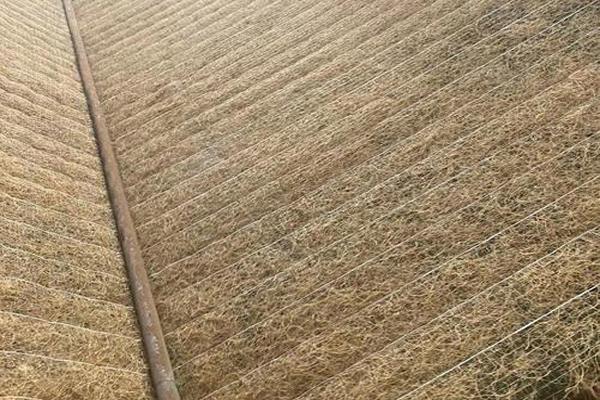 护坡工程会用到哪些土工材料？  第4张