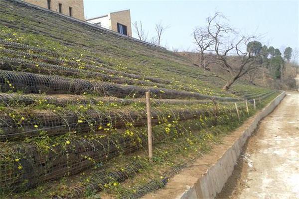 土工格栅在挡土墙中的优势详解  第3张