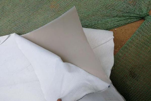 土工格栅与复合土工膜搭配使用的优势  第4张