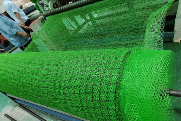 高韧性聚酯纱线集束土工格栅与三维土工网垫的区别有哪些  第2张